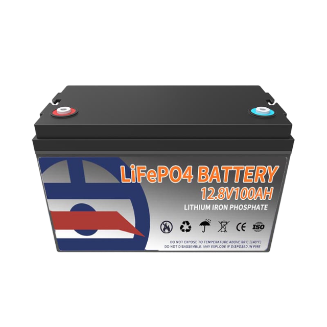 Baterai LiFePO4 12V100Ah
